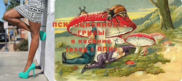 кокс Козельск