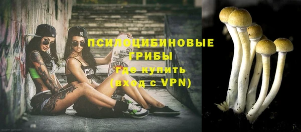 apvp Кодинск