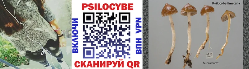 Купить закладки  Ипатово  Псилоцибиновые грибы Psilocybine cubensis 